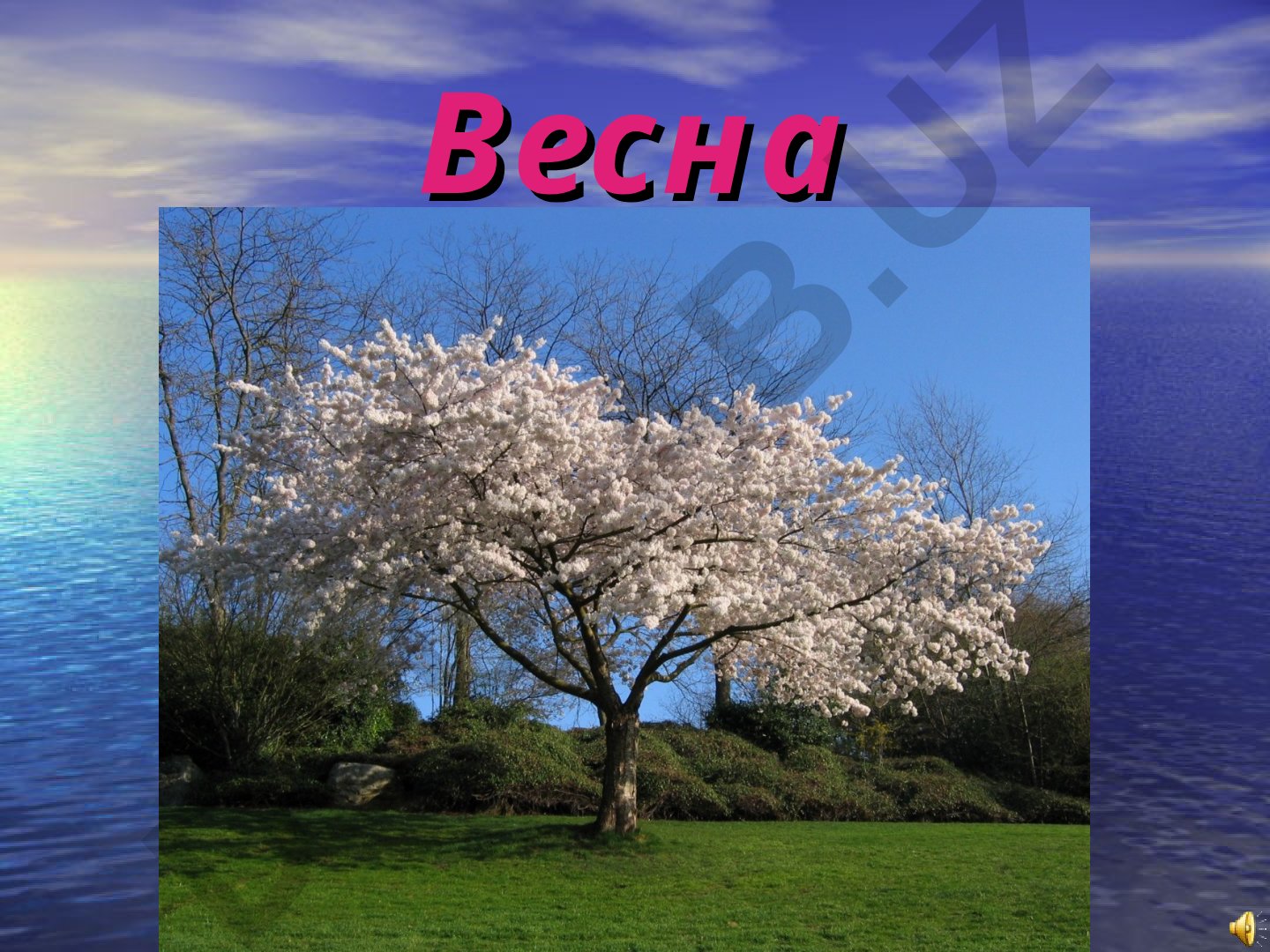 Весенние цветы и природа