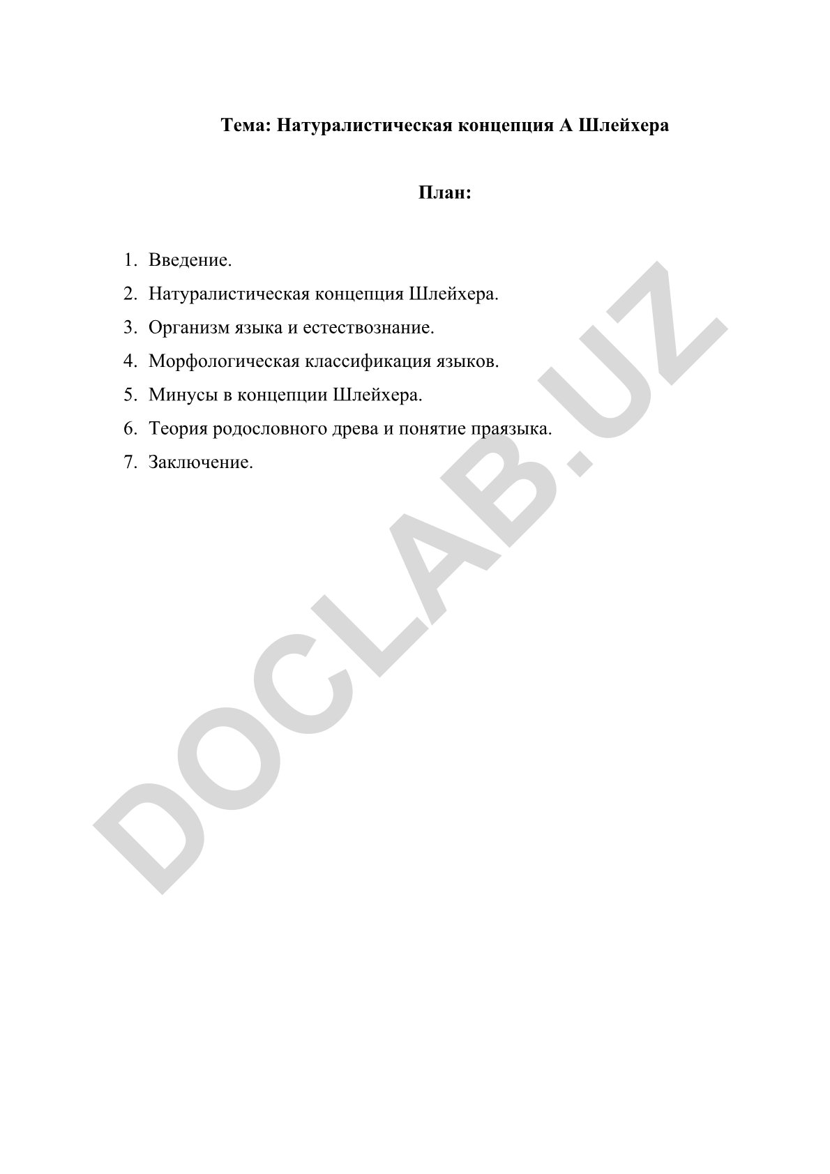 Натуралистическая концепция А. Шлейхера