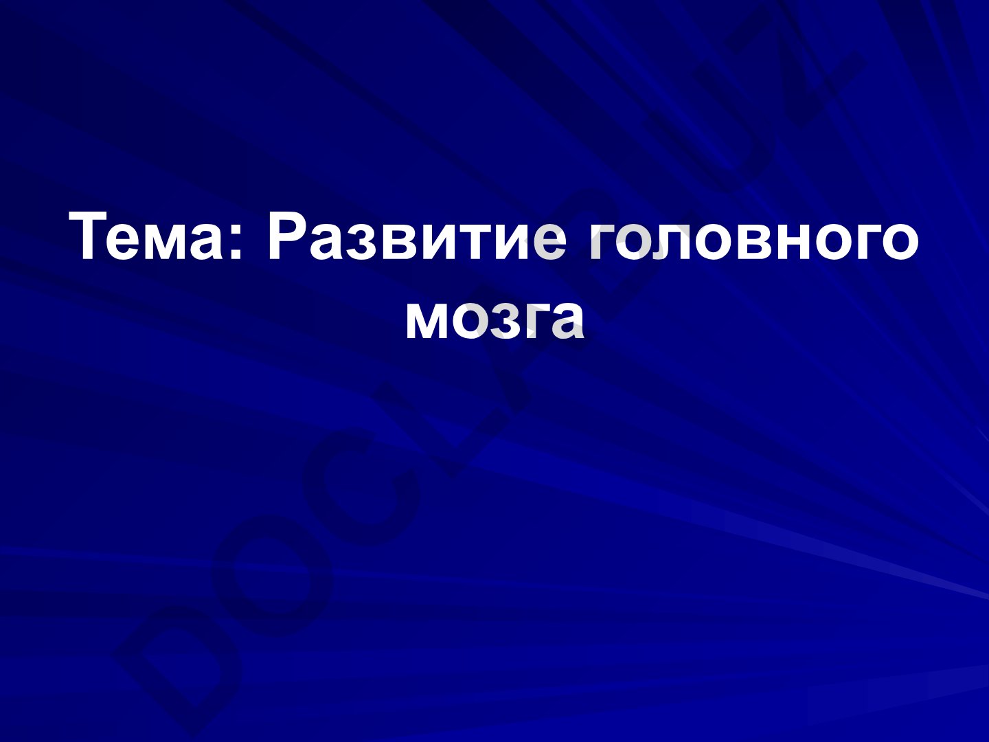 Развитие головного мозга в онтогенезе