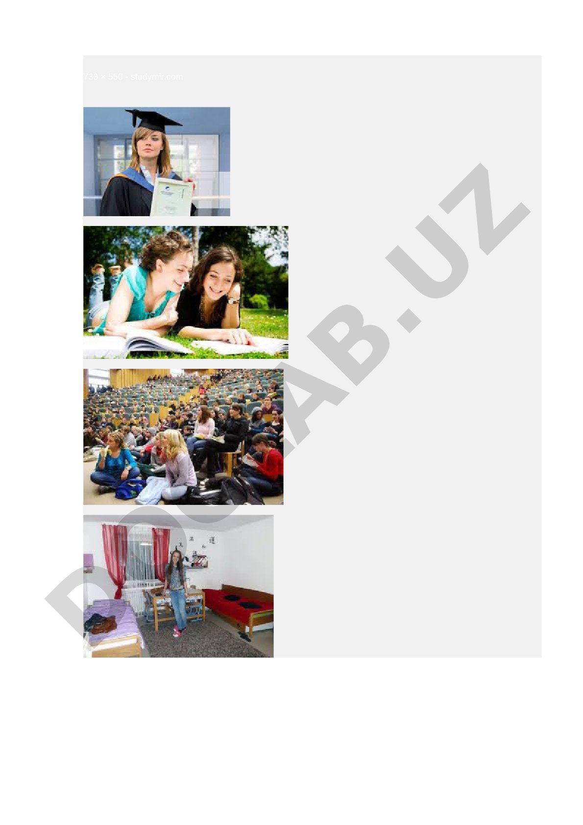 733 × 550 - studymir.com
