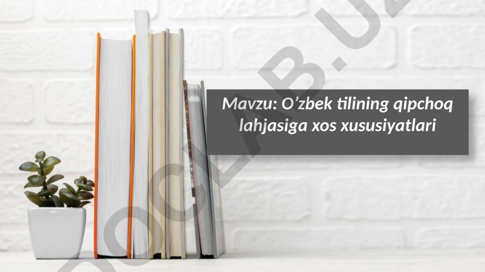 O’zbek tilining qipchoq lahjasiga xos xususiyatlari