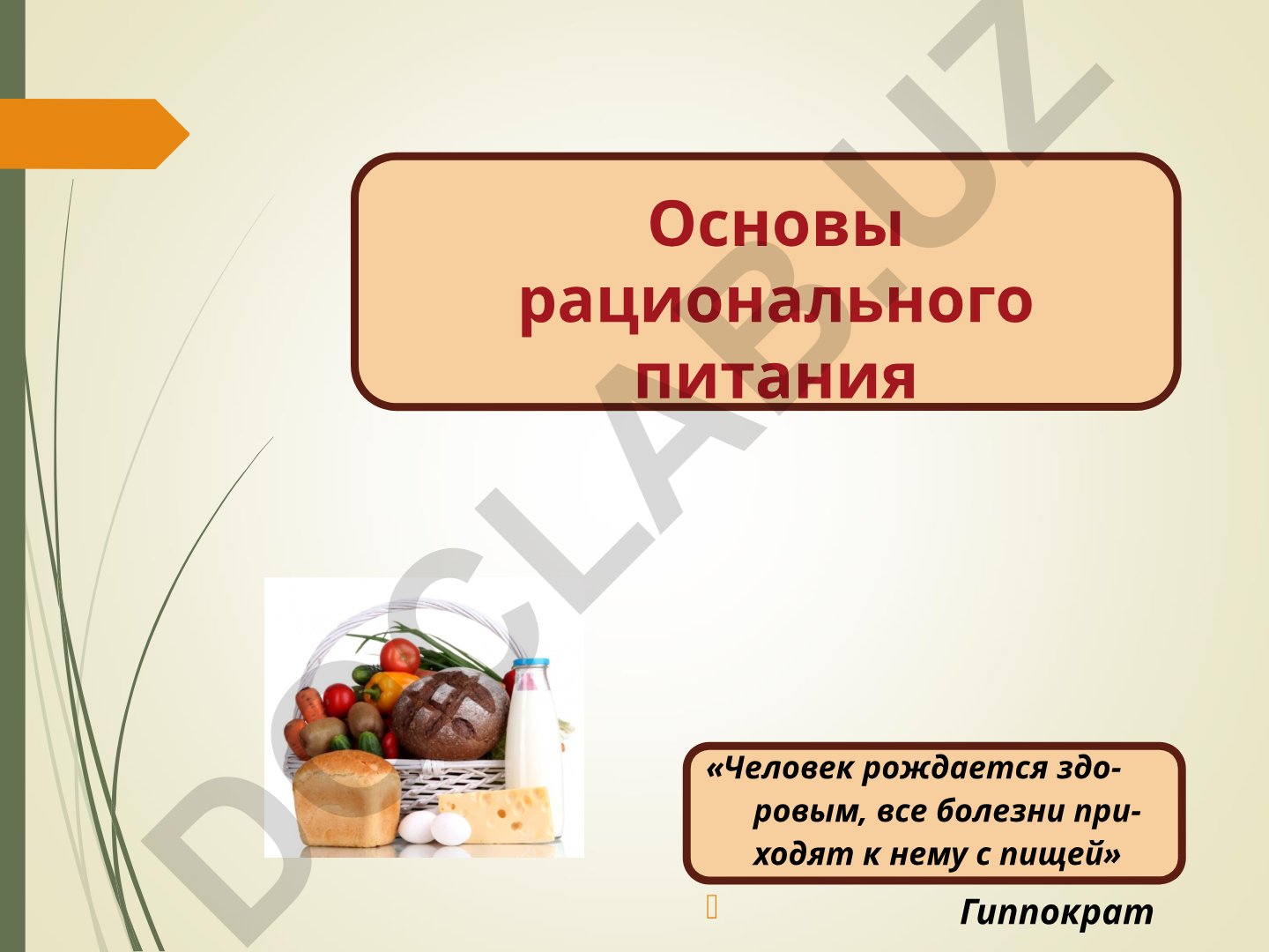 Основы рационального питания