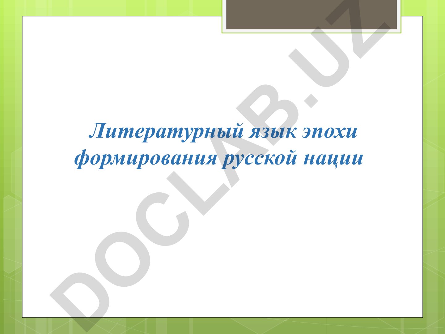 Русский литературный язык в эпоху формирования нации