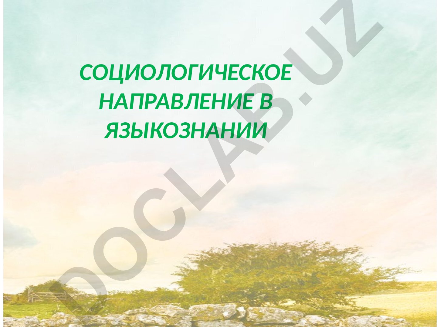 Социологическое направление в языкознании