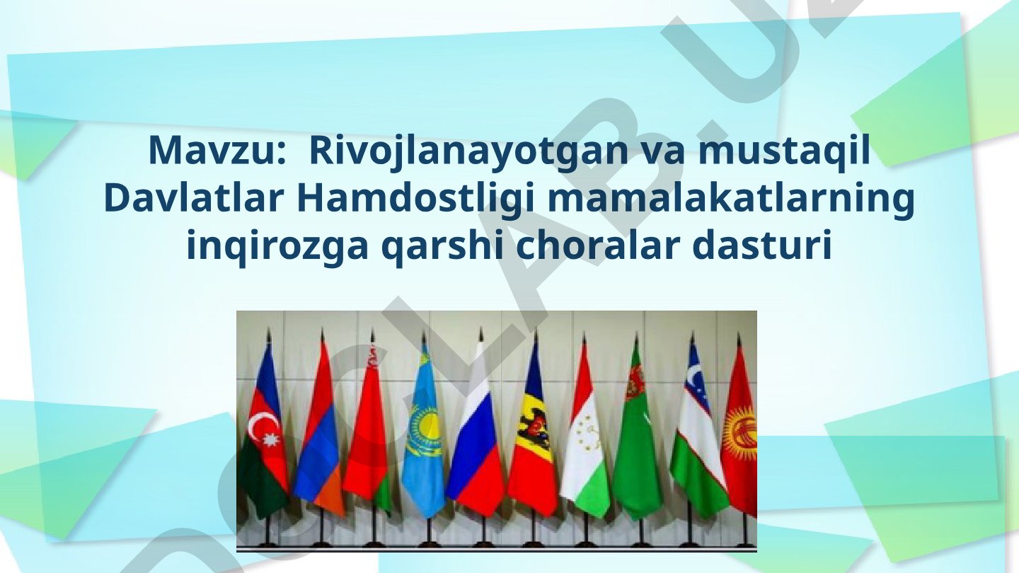 Rivojlanayotgan va mustaqil Davlatlar Hamdostligi mamalakatlarning inqirozga qarshi choralar dasturi