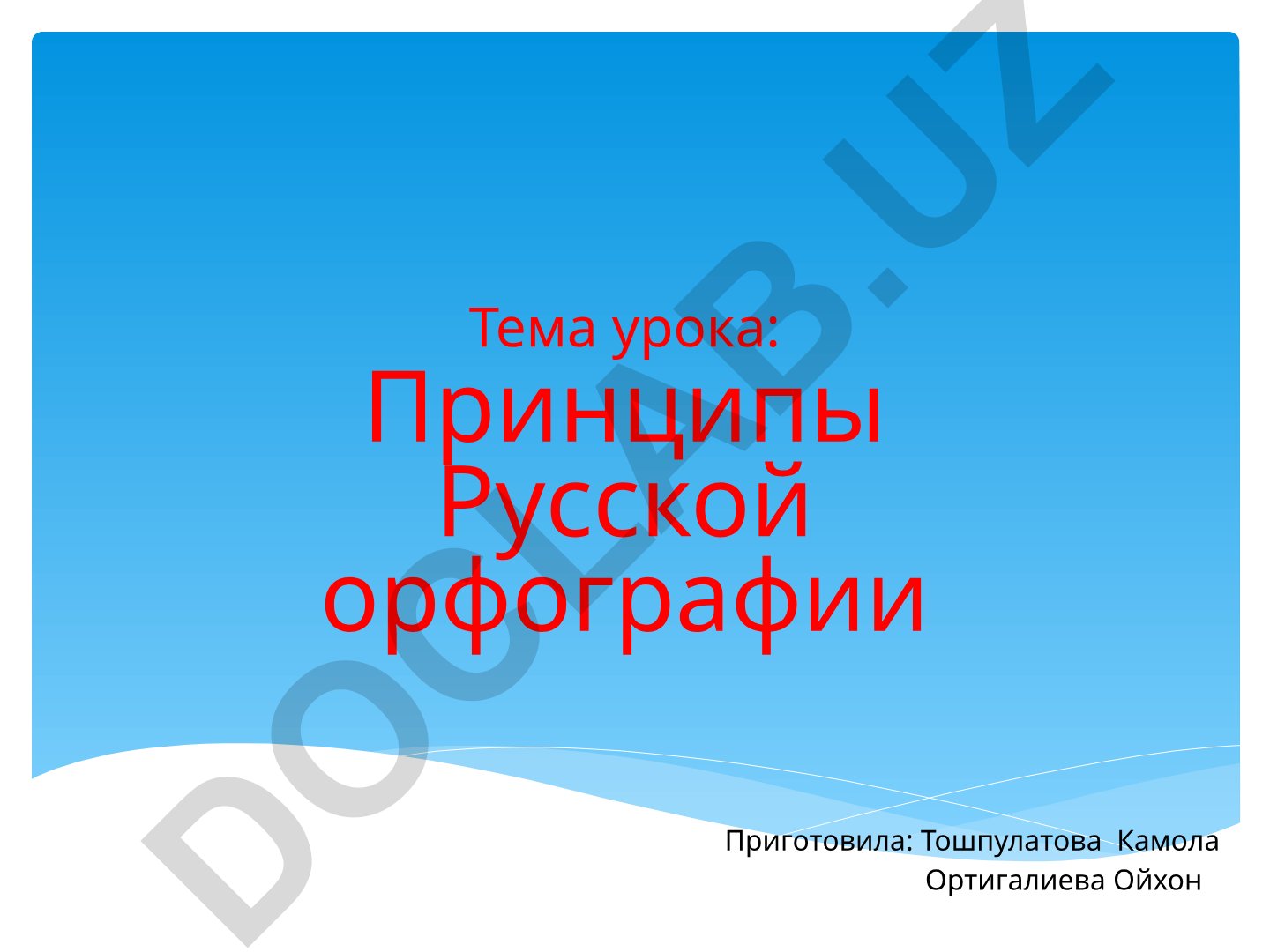 Принципы Русской орфографии