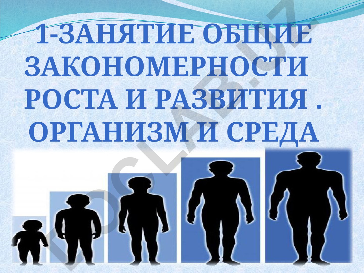 Общие закономерности роста и развития организма