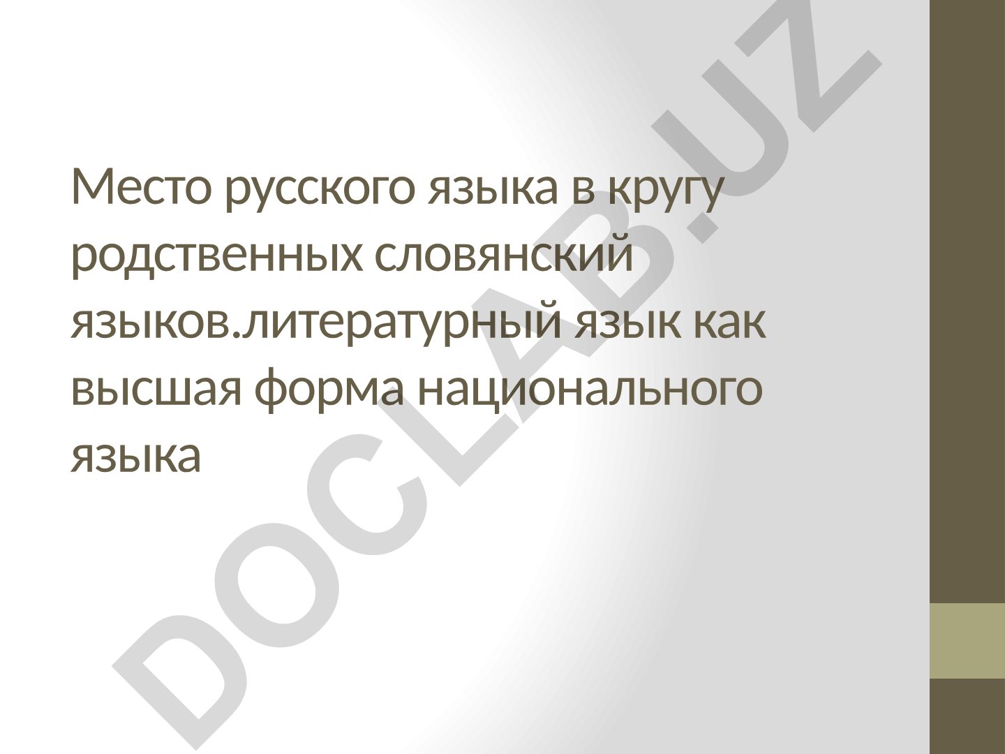 Место русского языка в кругу родственных славянских языков и литературный язык как высшая форма национального языка