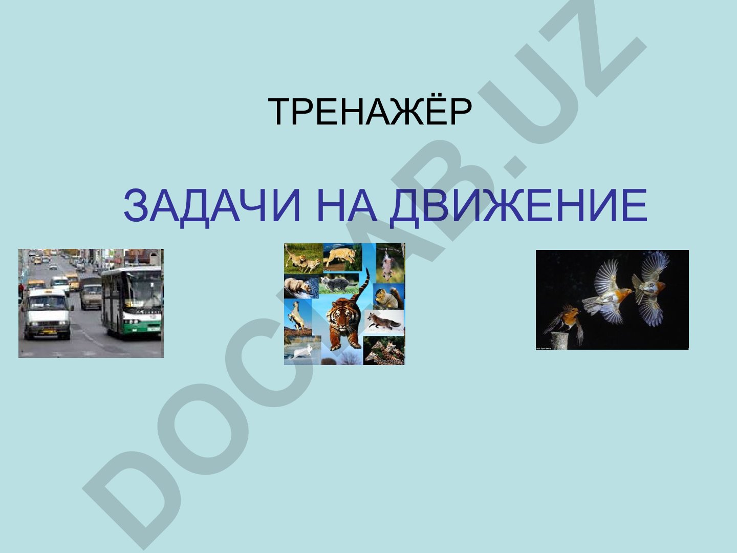 Тренажёр задач на движение
