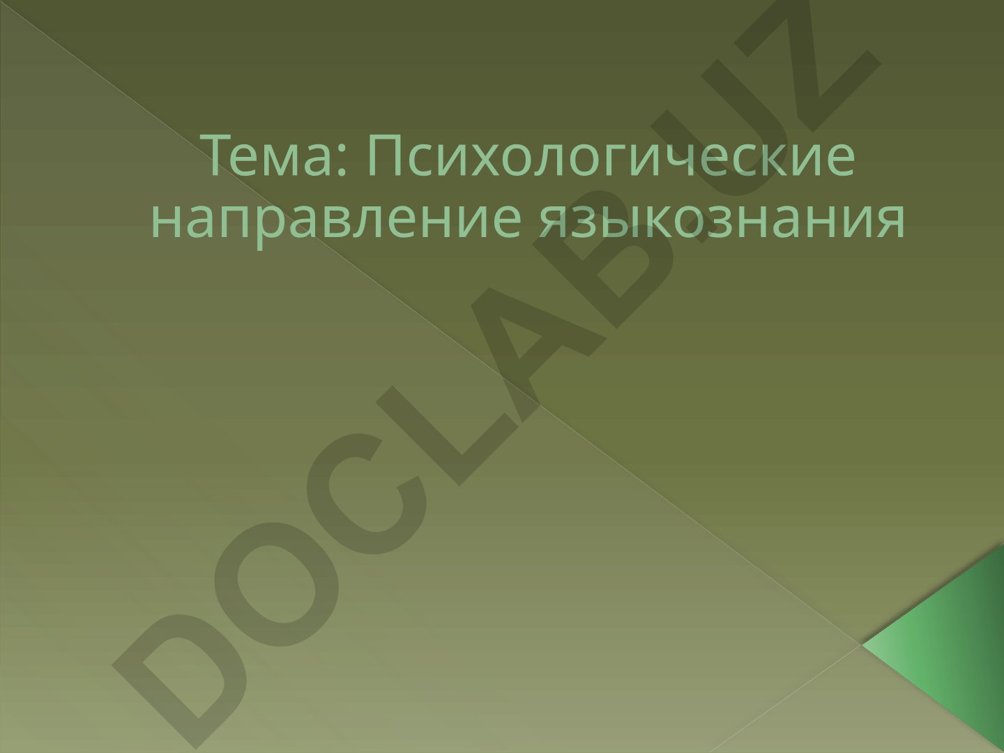 Психологическое направление в языкознании