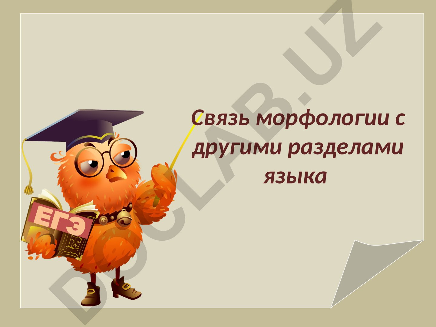 Связь морфологии с другими разделами языка