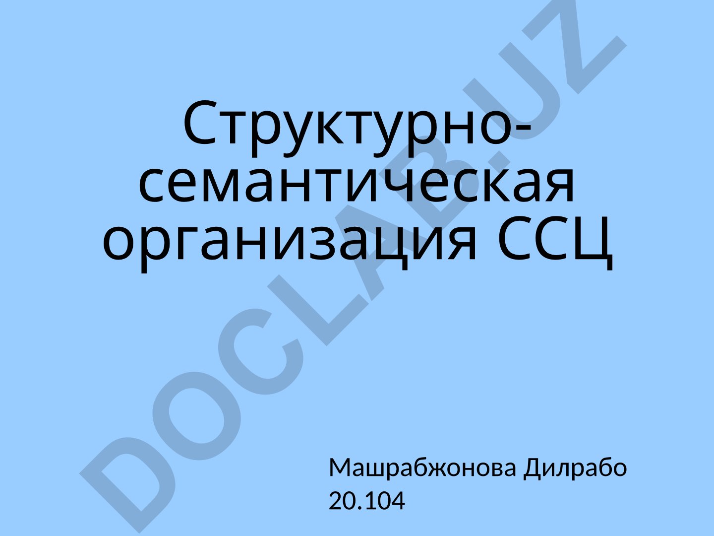 Структурно-семантическая организация сложного синтаксического целого