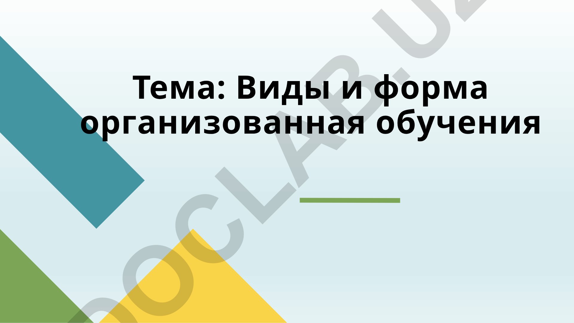 Виды и форма организованного обучения
