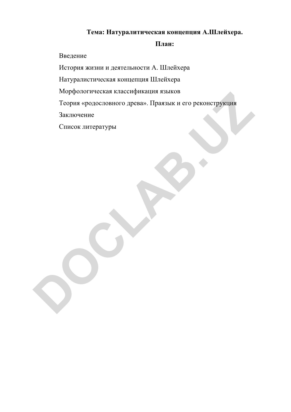 Натуралистическая концепция А. Шлейхера