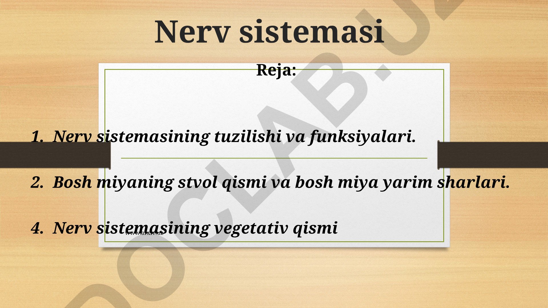 Nerv sistemasi tuzilishi va funksiyalari