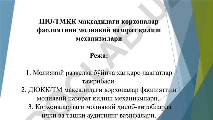 Молиявий назорат механизмлари ва халқаро разведка тажрибаси