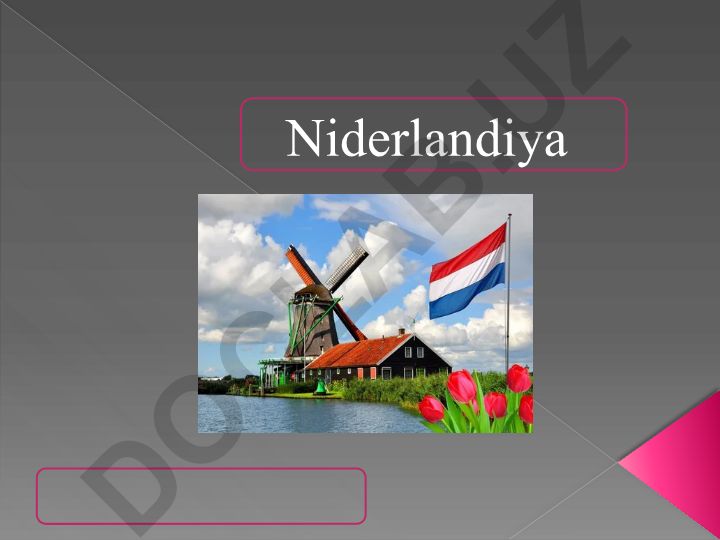 Niderlandiya davlatining geografik va demografik xususiyatlari