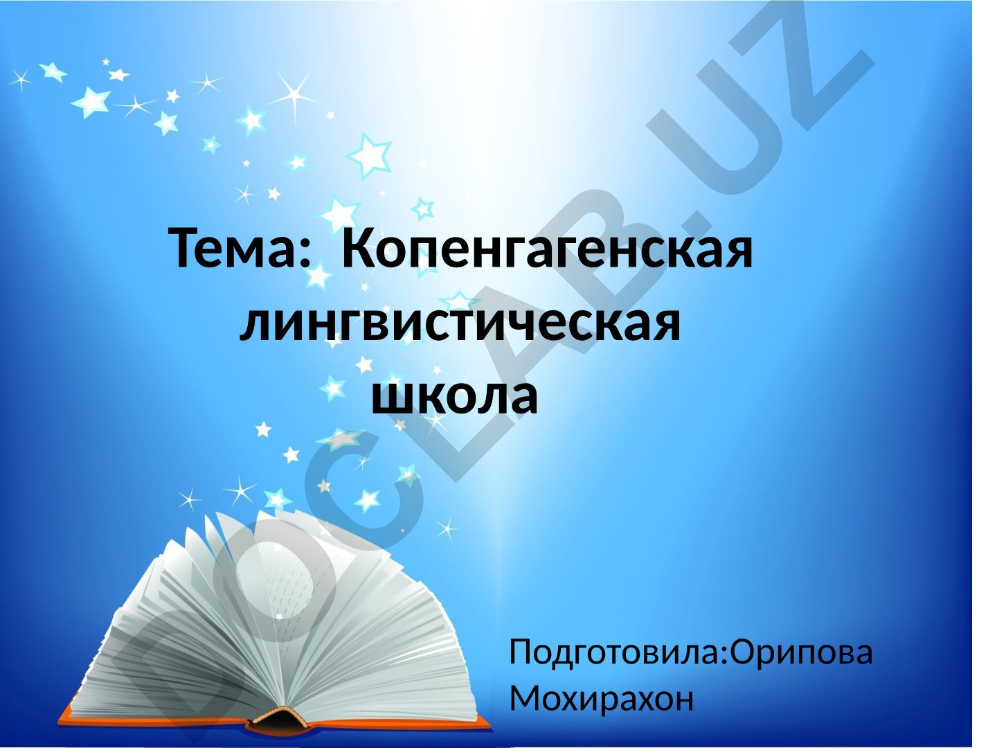 Копенгагенская лингвистическая школа