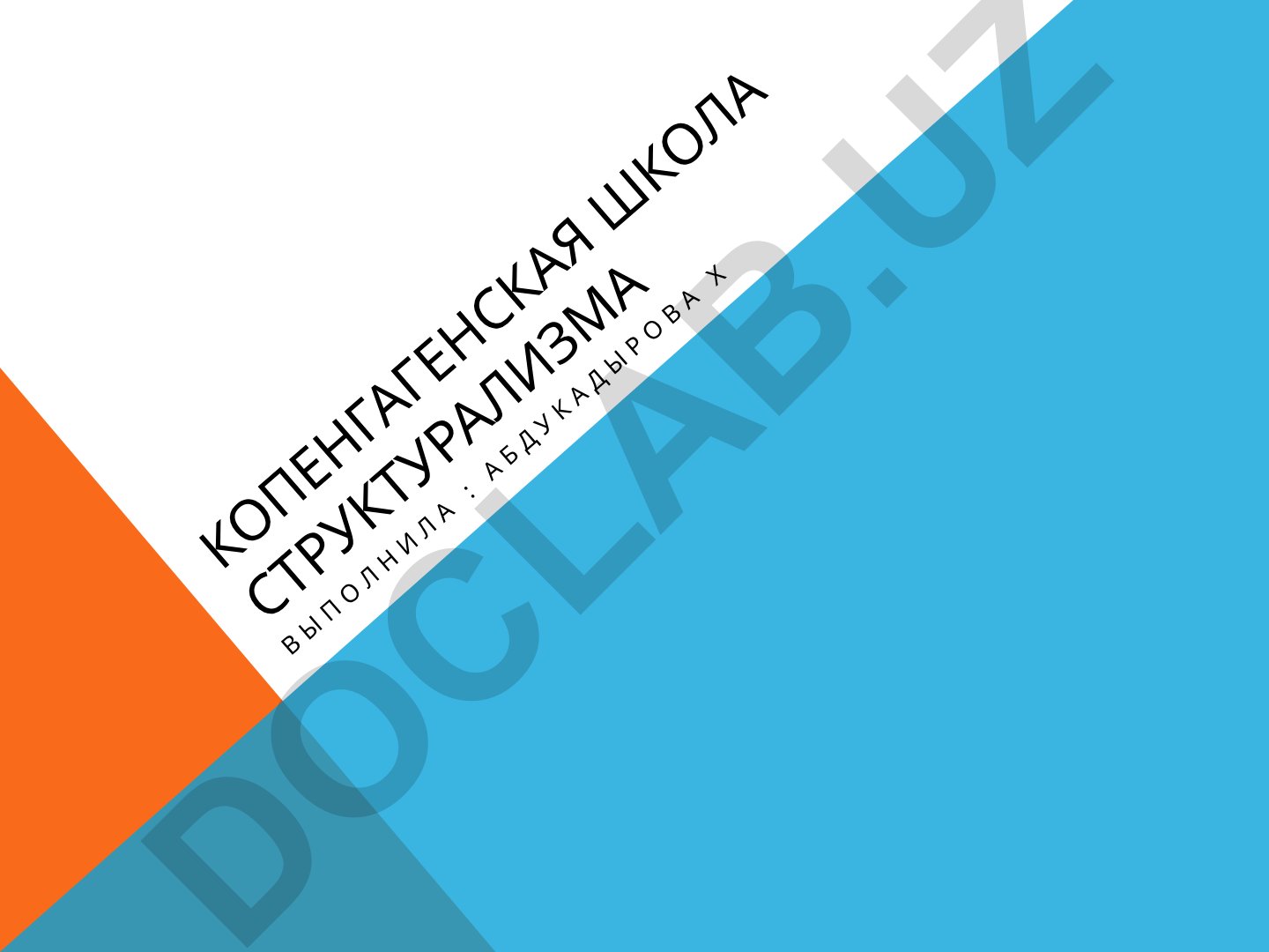 Копенгагенская школа структурализма