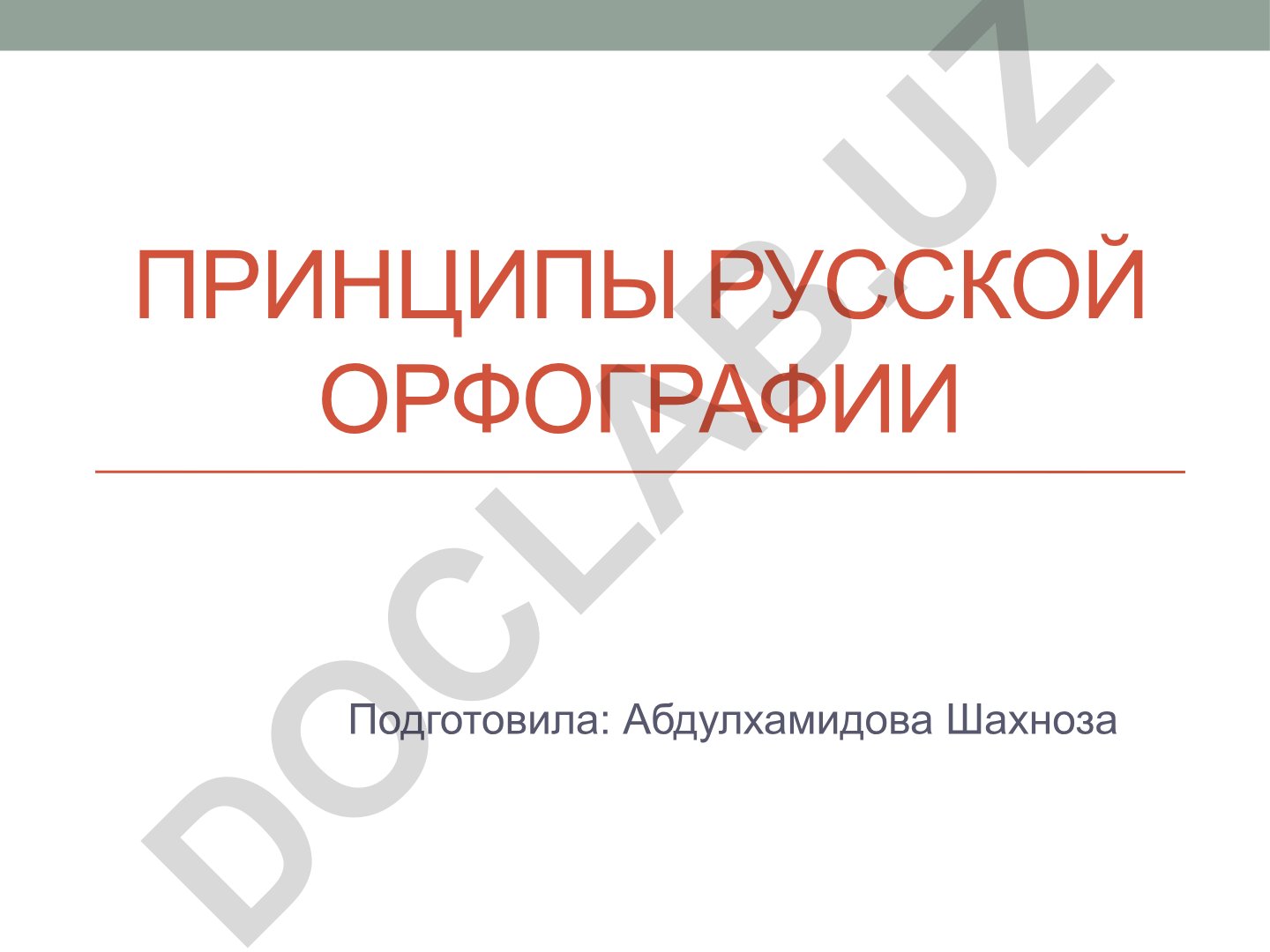 Принципы русской орфографии