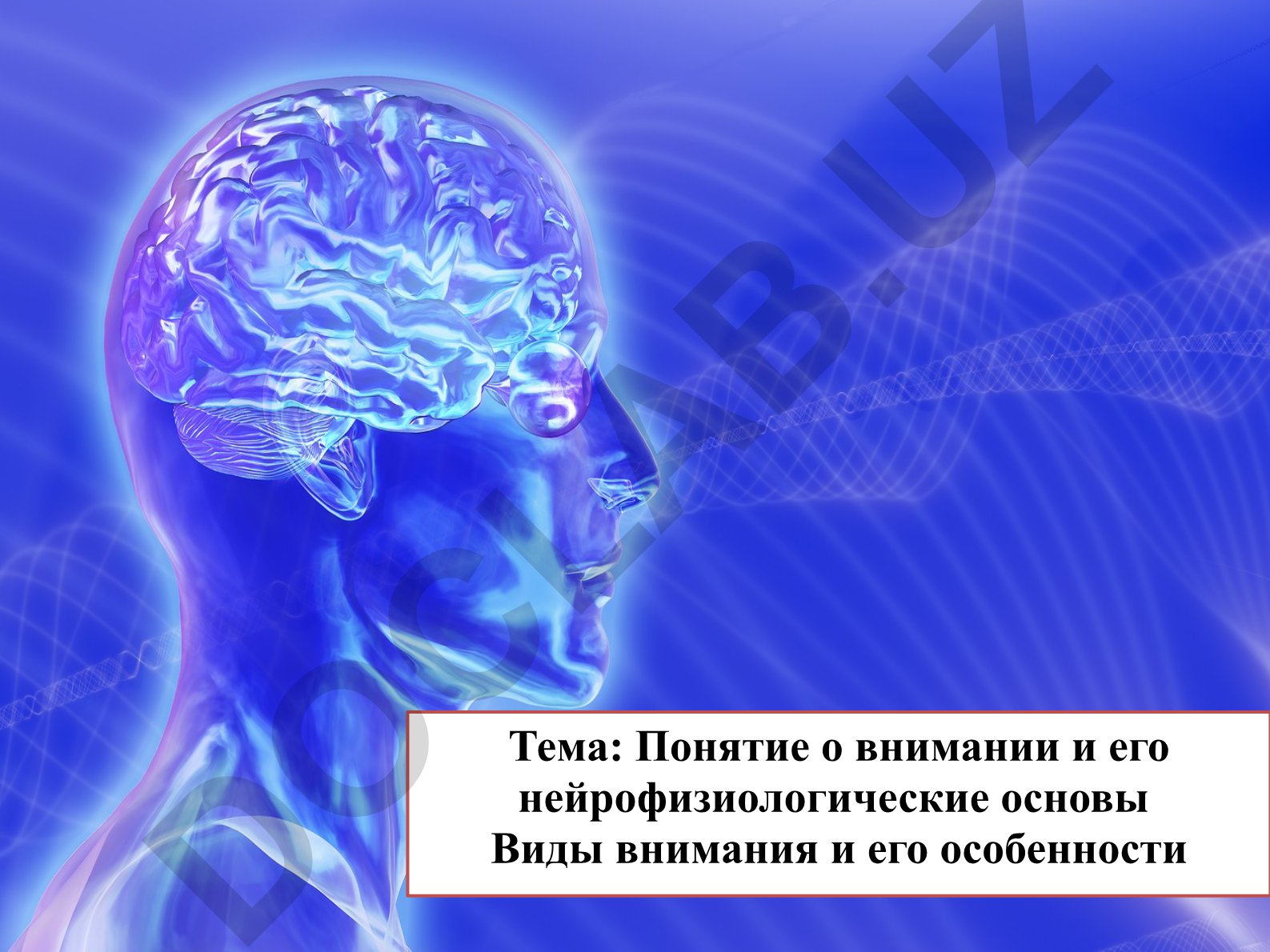 Понятие о внимании и его нейрофизиологические основы