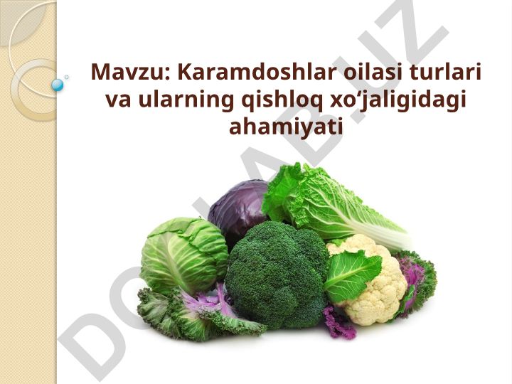 Karamdoshlar oilasi turlari va ularning qishloq xoʻjaligidagi ahamiyati