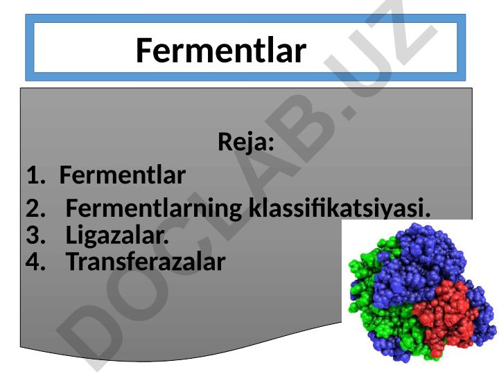 Fermentlar va ularning klassifikatsiyasi