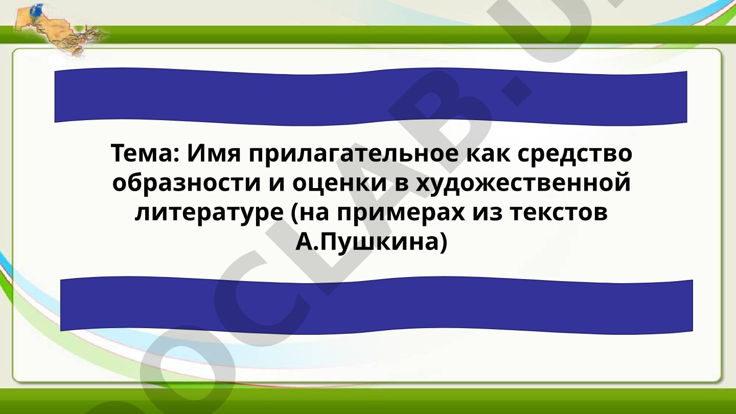 Имя прилагательное как средство образности и оценки в художественной литературе (на примерах из текстов А.Пушкина)