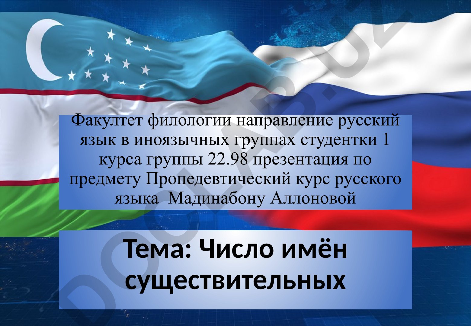 Число имён существительных в русском языке