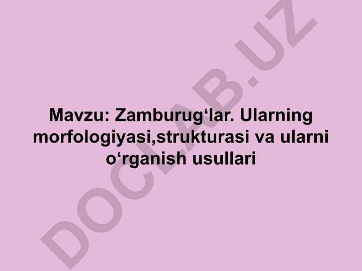 Zamburugʻlar. Ularning morfologiyasi, strukturasi va ularni oʻrganish usullari
