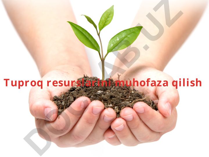 Tuproq resurslarini muhofaza qilish