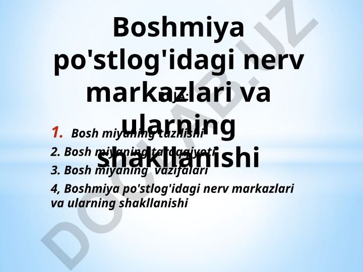 Boshmiya po'stlog'idagi nerv markazlari va ularning shakllanishi