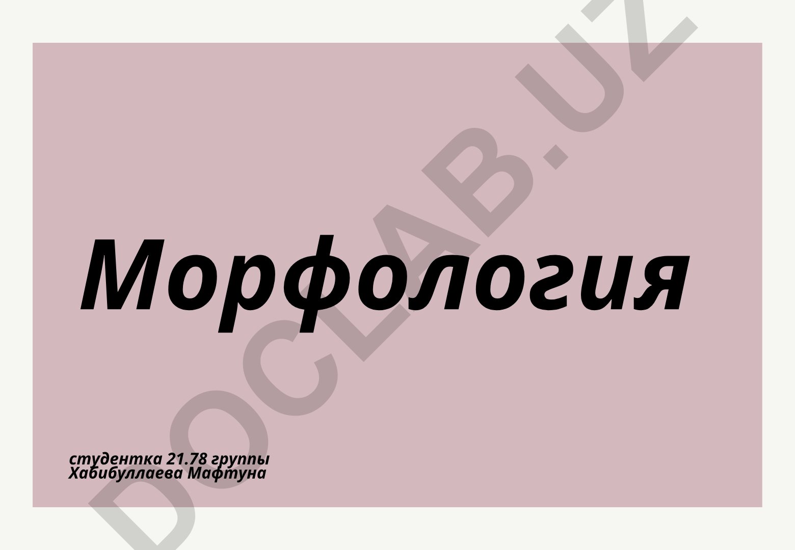 Морфология как раздел науки о языке