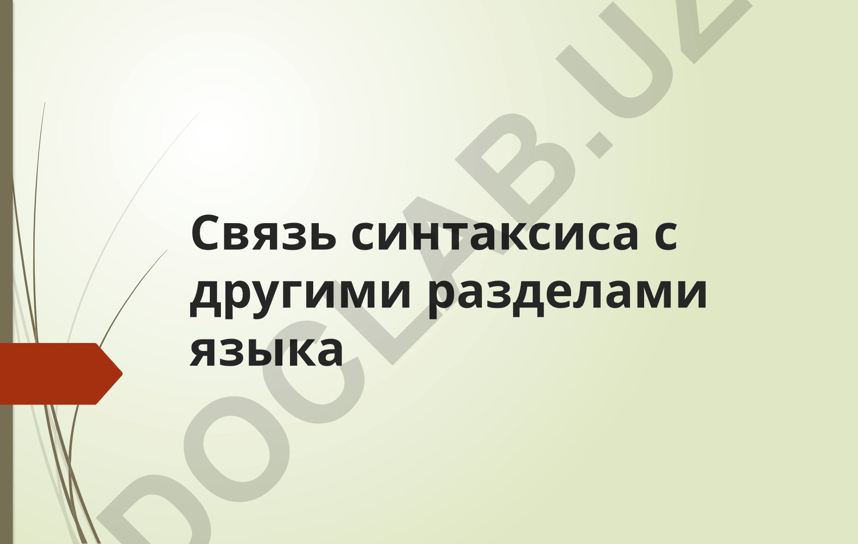 Связь синтаксиса с другими разделами языка