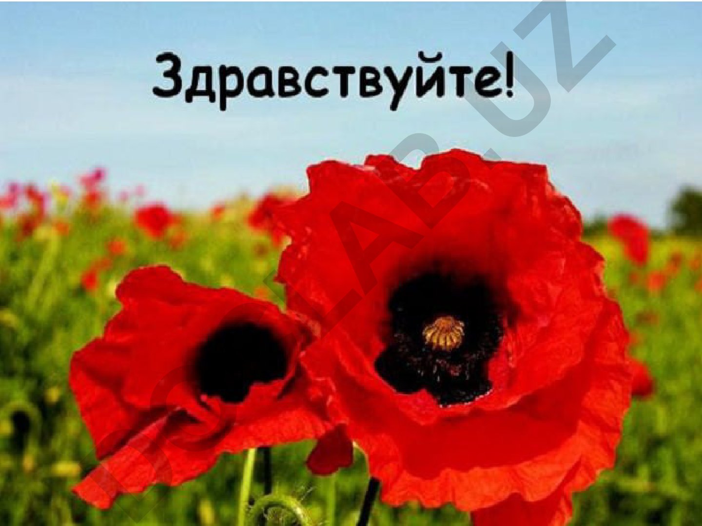 Особенности эмоций для детей