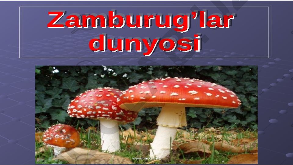 Zamburug'larning tuzilishi va turlari