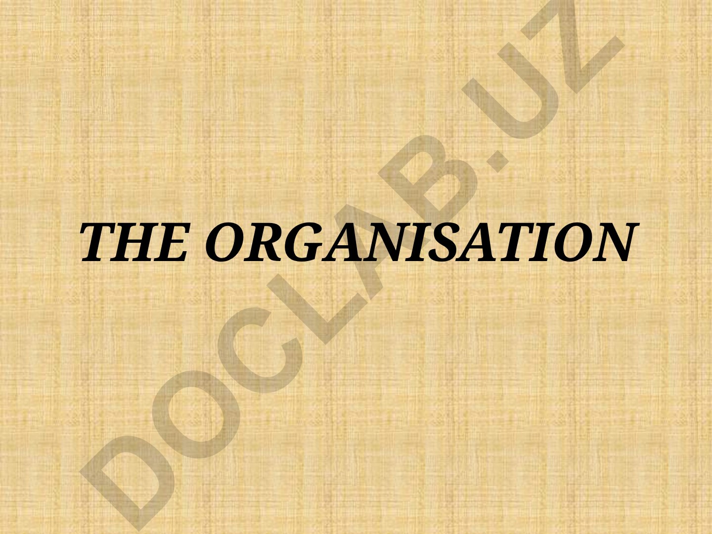 Formal and Informal Organizations: Structure and Characteristics