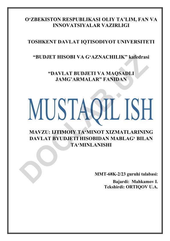 Ijtimoiy ta'minot xizmatlarining davlat byudjeti hisobidan mablag' bilan ta'minlanishi