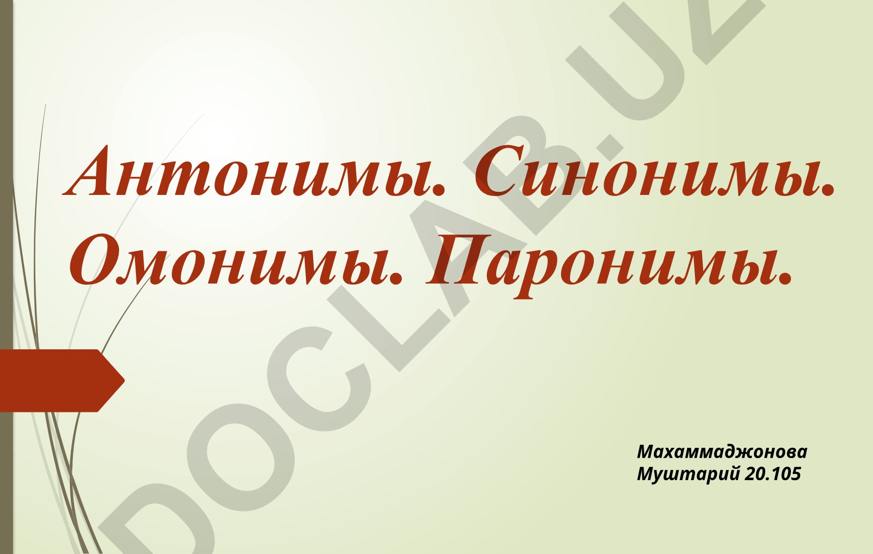 Антонимы, синонимы, омонимы и паронимы в русском языке