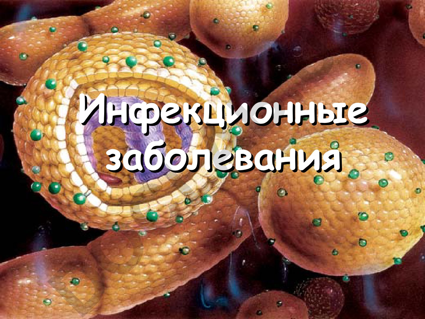 Инфекционные заболевания и укрепление здоровья молодежи допризывного возраста