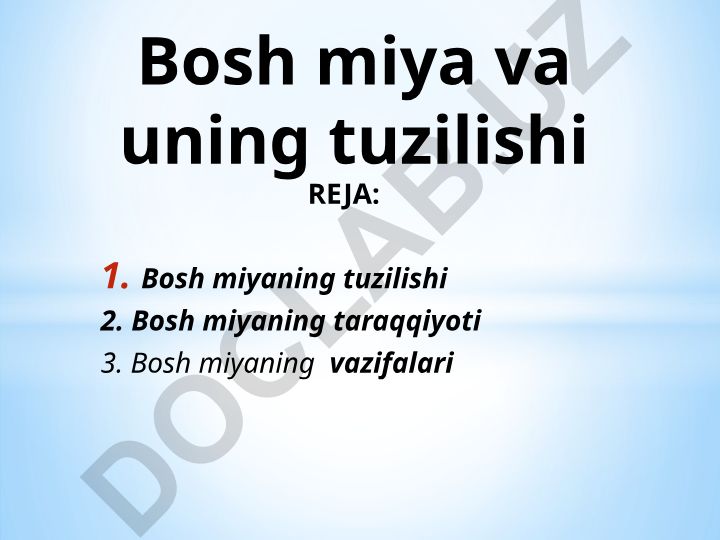 Bosh miya va uning tuzilishi
