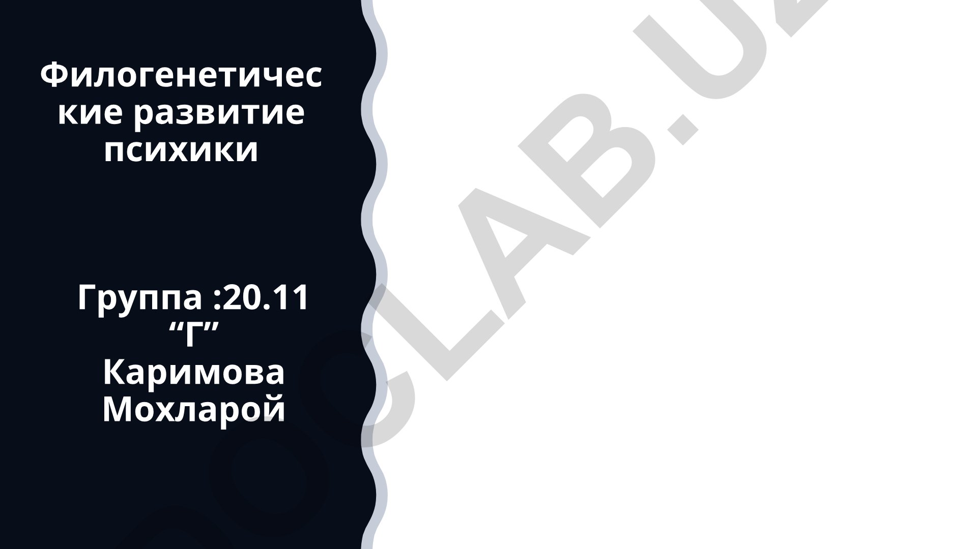 Филогенетическое развитие психики