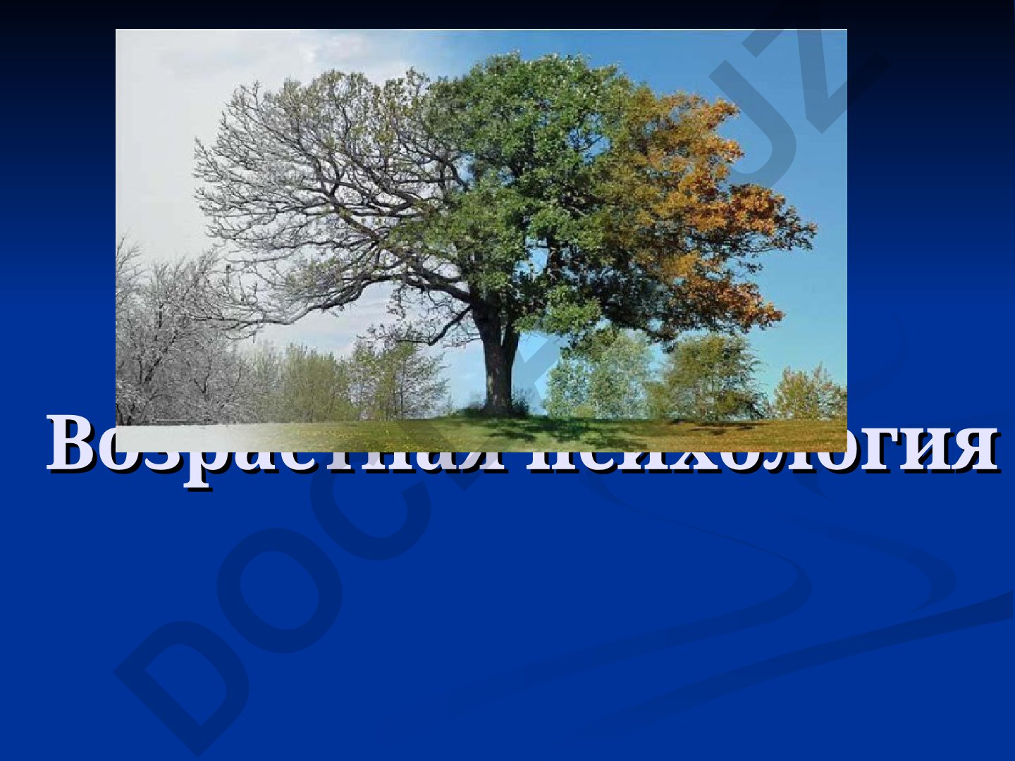 Возрастная психология: предмет, задачи и развитие