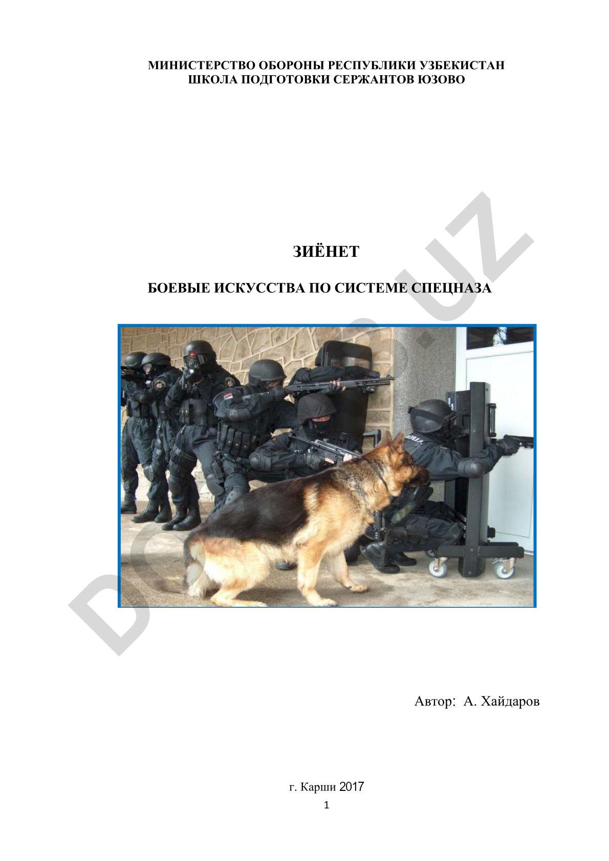 Боевые искусства по системе спецназа