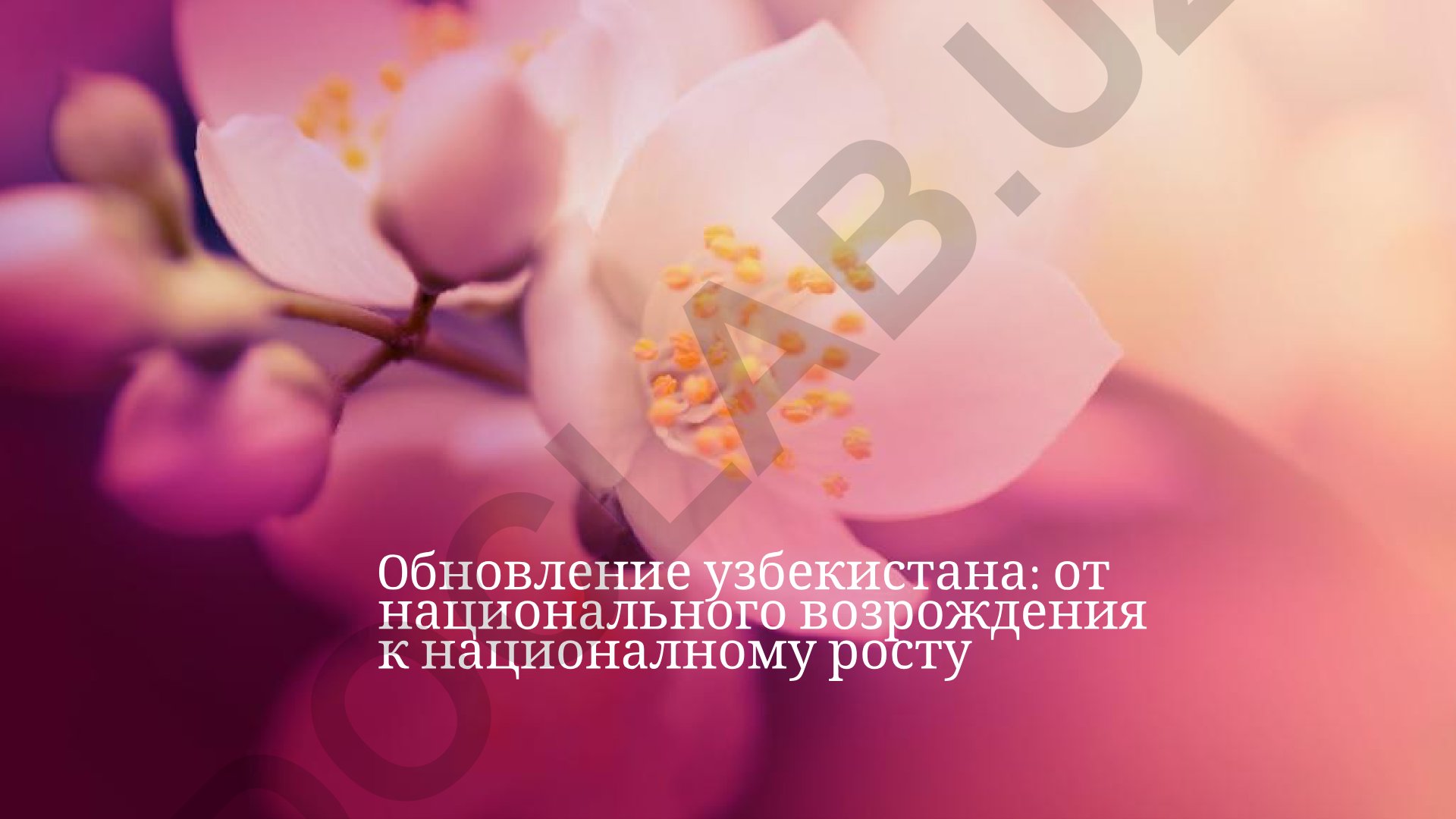 Oбновление Узбекистана: от национального возрождения к национальному росту