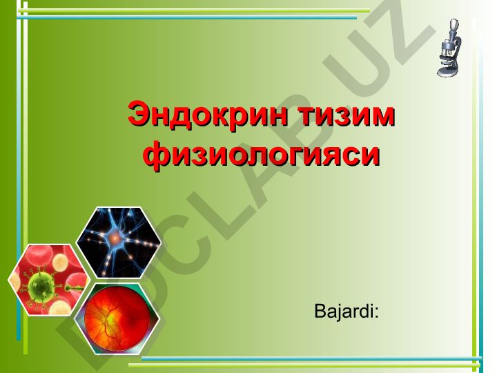 Эндокрин тизим физиологияси