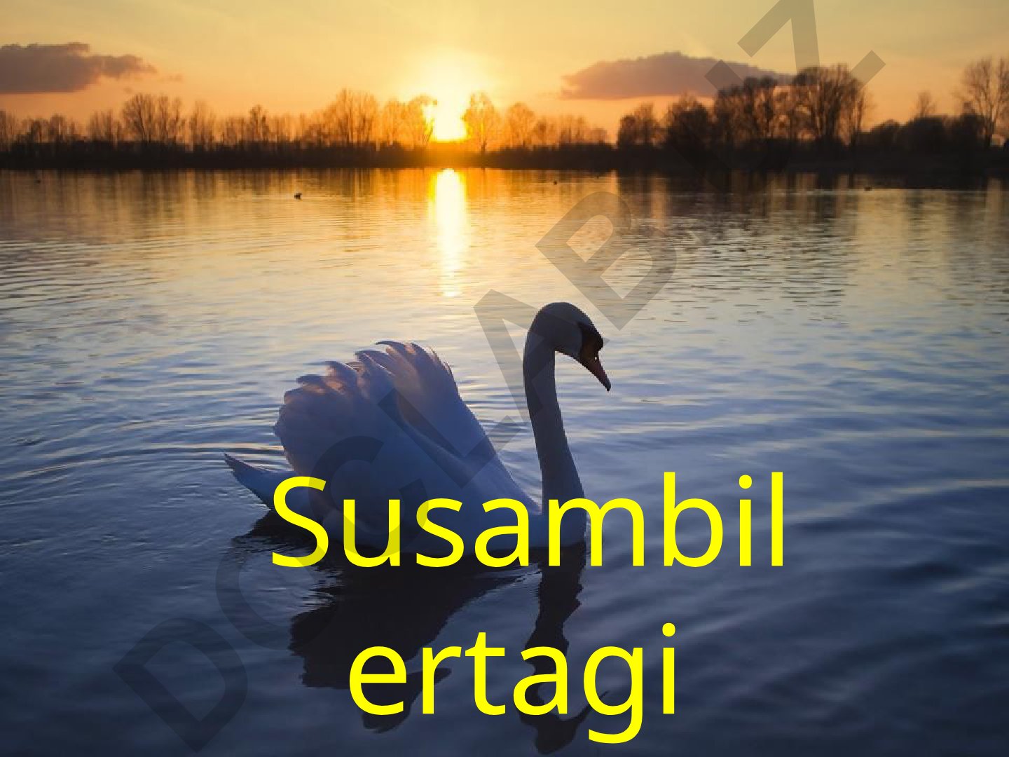 Susambil ertagi