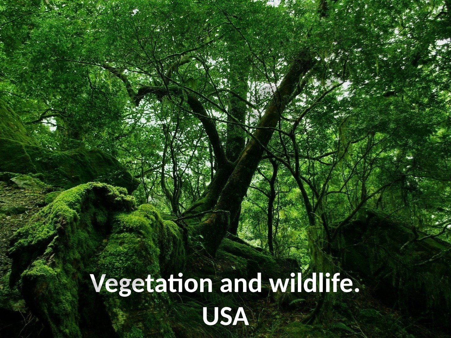 Vegetation and wildlife of the United States