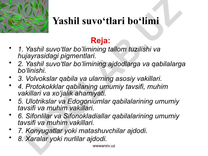 Yashil suvo‘tlar bo‘limining tuzilishi, ajdodlari va vakillari