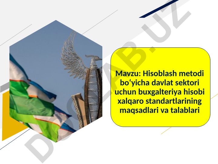 Hisoblash metodi bo‘yicha davlat sektori uchun buxgalteriya hisobi xalqaro standartlarining maqsadlari va talablari